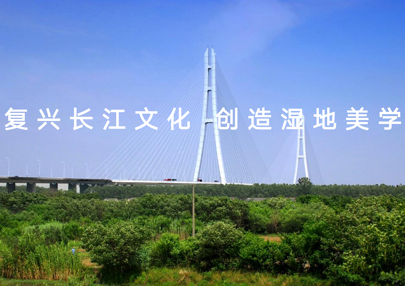 Scenery，Wetland Park，Overall planning，