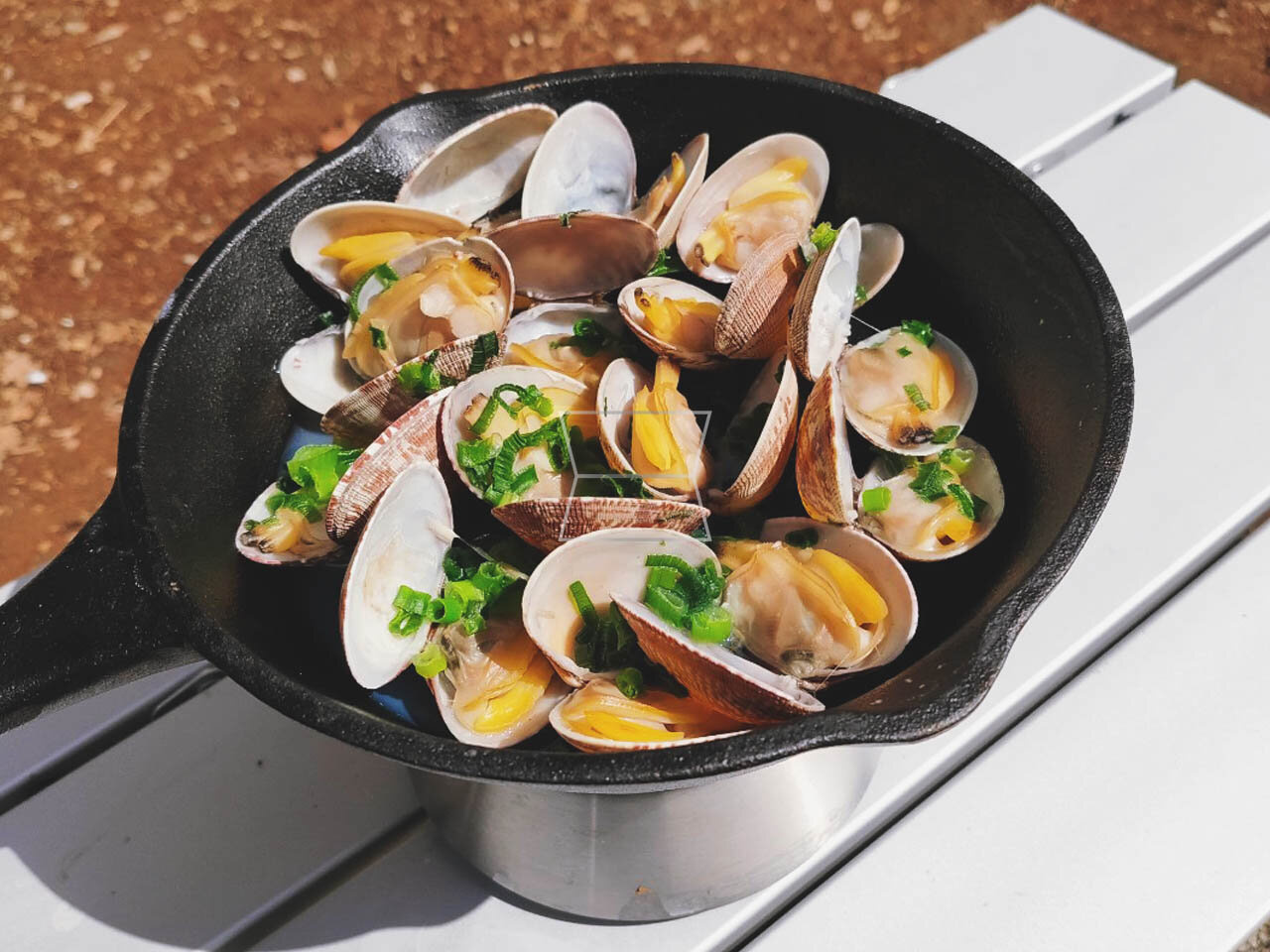 2022 Red Dot Product Design Award，Ember Stove，cooker，outdoors，camping，