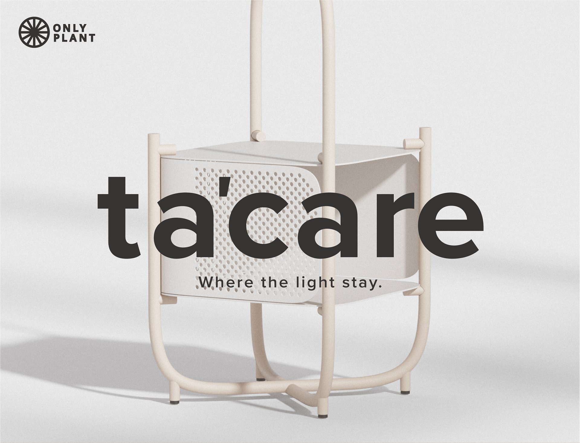 Plant rack，Simplicity，Botany，