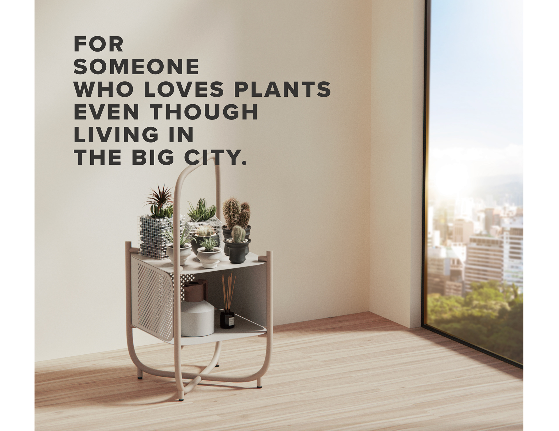 Plant rack，Simplicity，Botany，