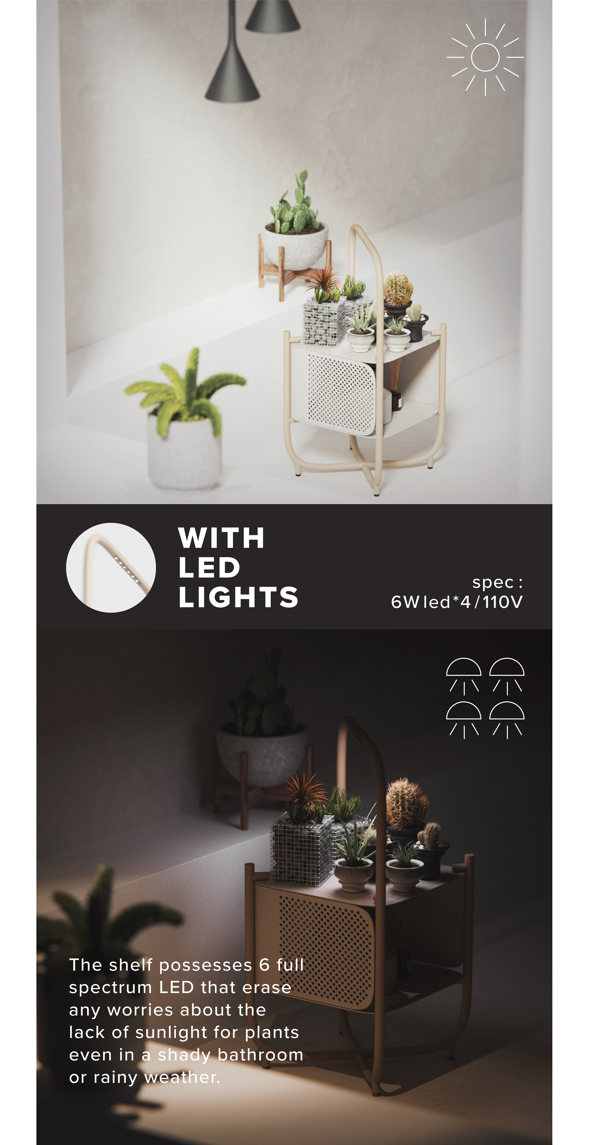 Plant rack，Simplicity，Botany，