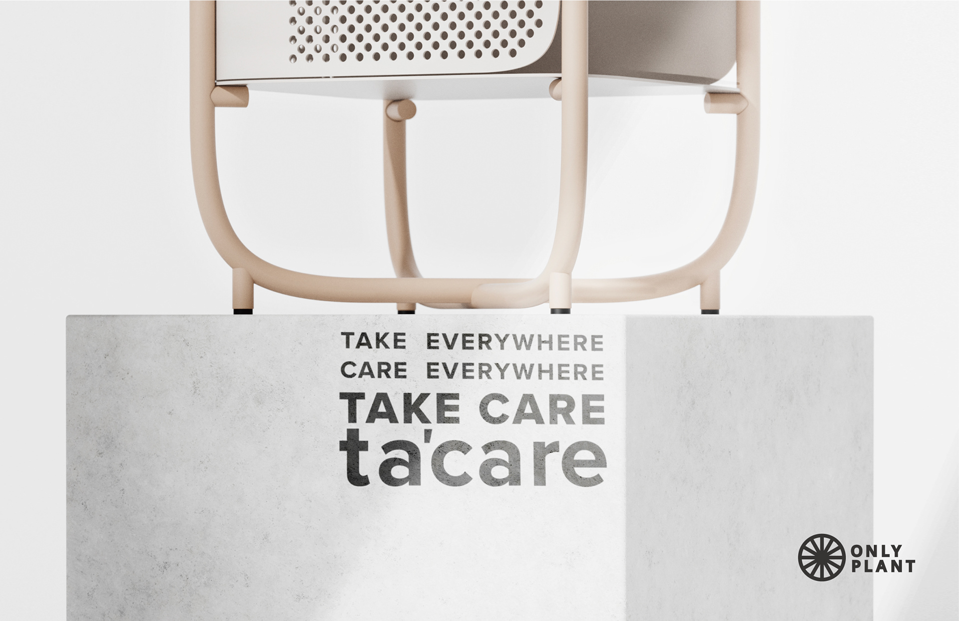 Plant rack，Simplicity，Botany，