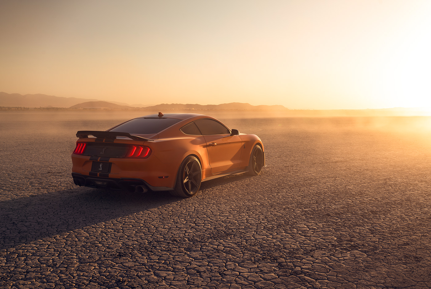 vehicle，Ford Mustang GT500，automobile，Photography，