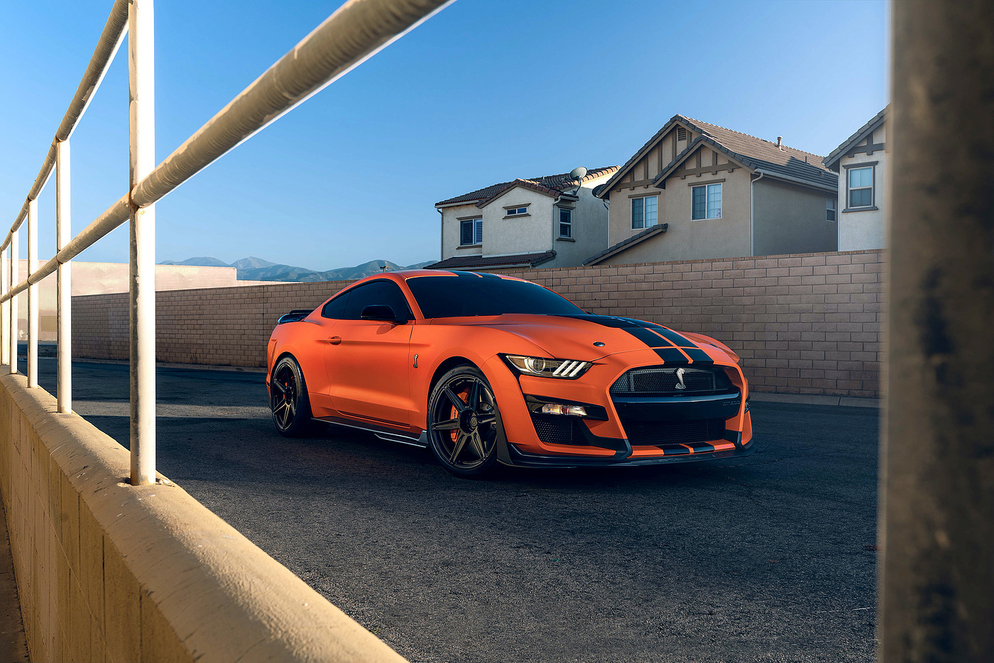 vehicle，Ford Mustang GT500，automobile，Photography，