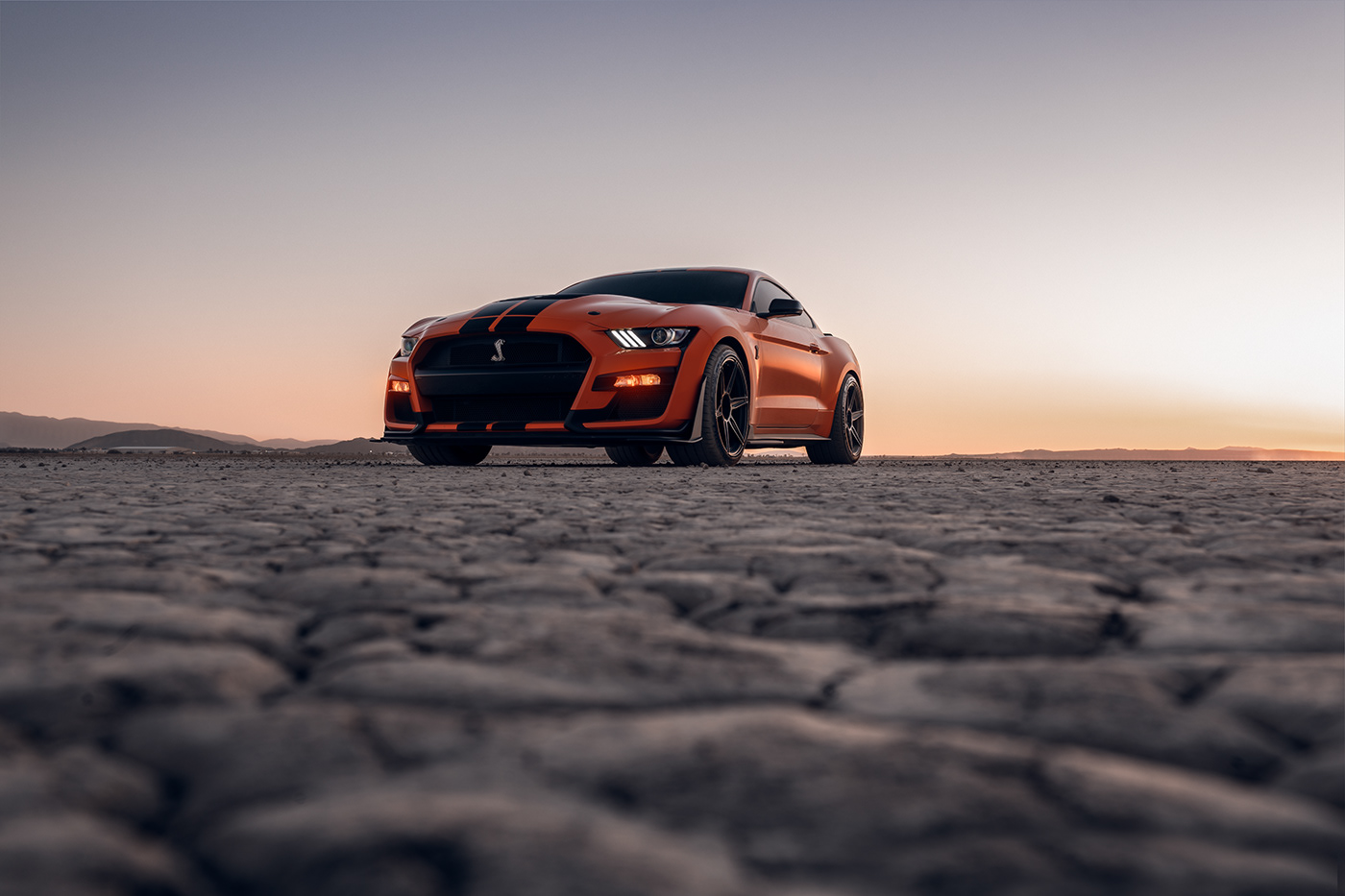 vehicle，Ford Mustang GT500，automobile，Photography，