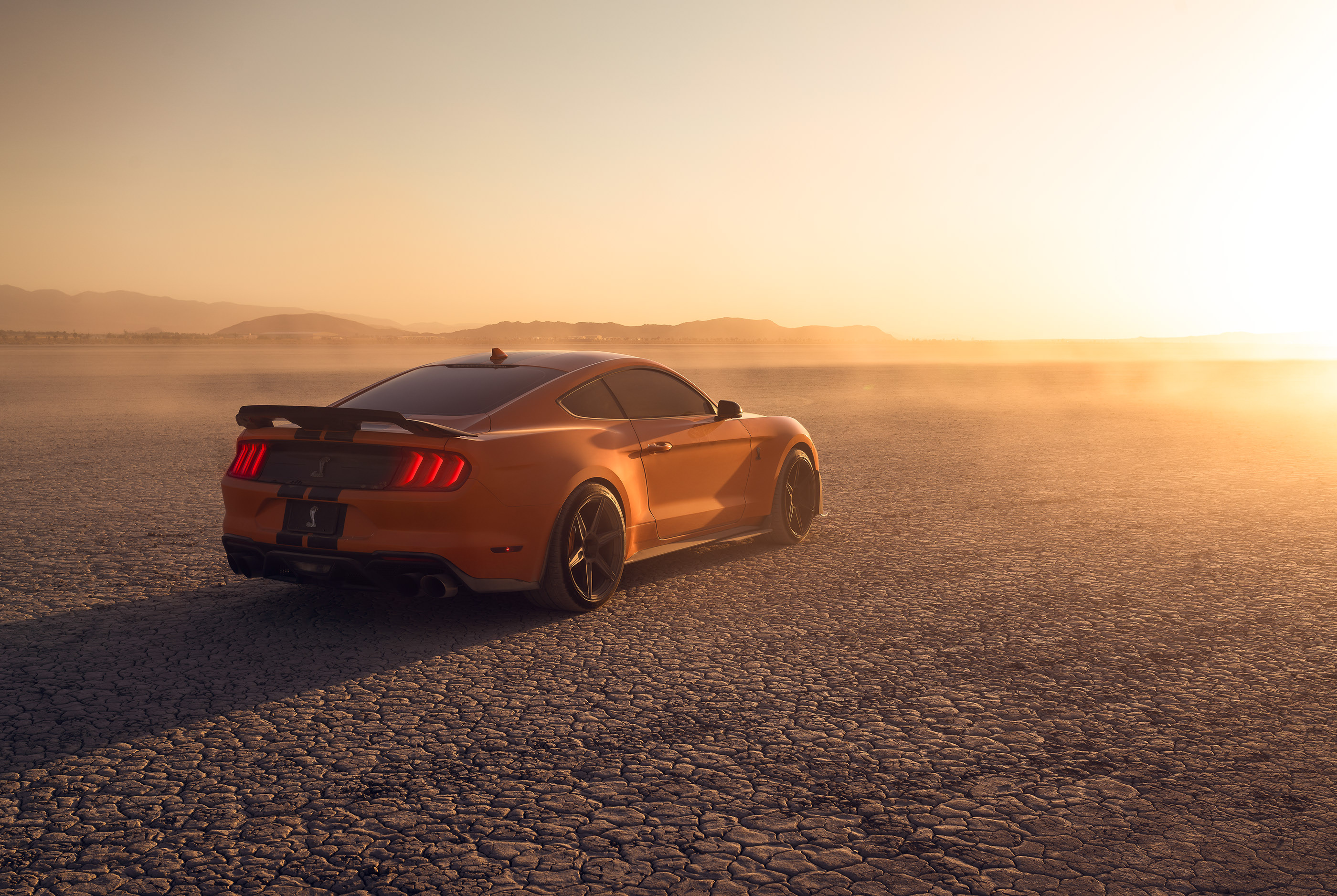 vehicle，Ford Mustang GT500，automobile，Photography，