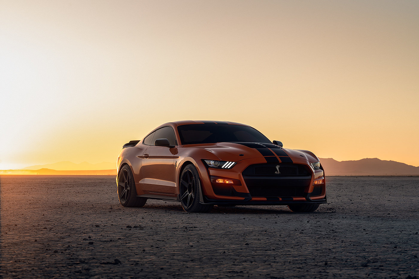 vehicle，Ford Mustang GT500，automobile，Photography，