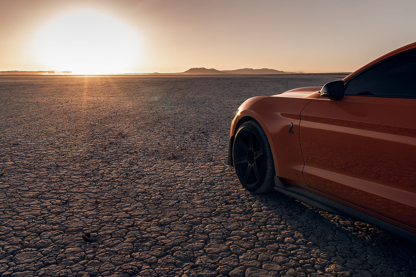 vehicle，Ford Mustang GT500，automobile，Photography，