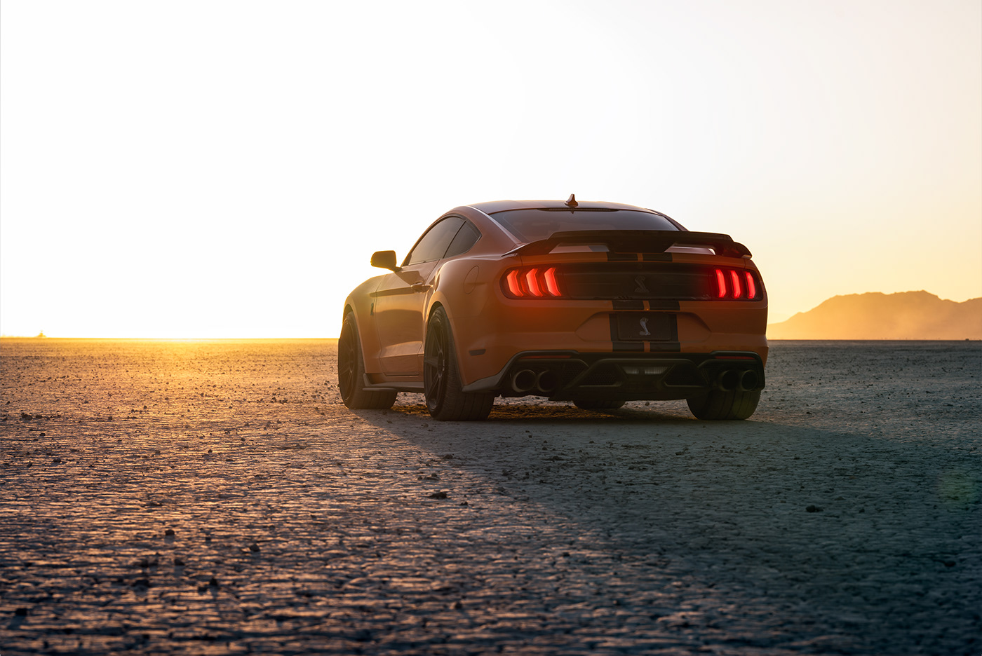 vehicle，Ford Mustang GT500，automobile，Photography，
