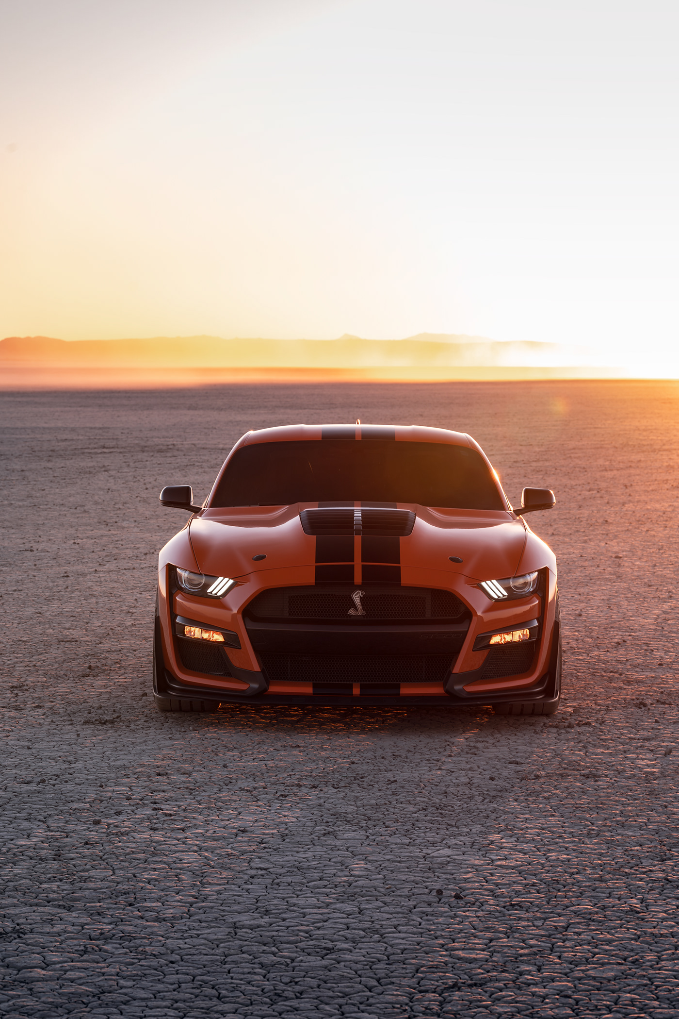 vehicle，Ford Mustang GT500，automobile，Photography，