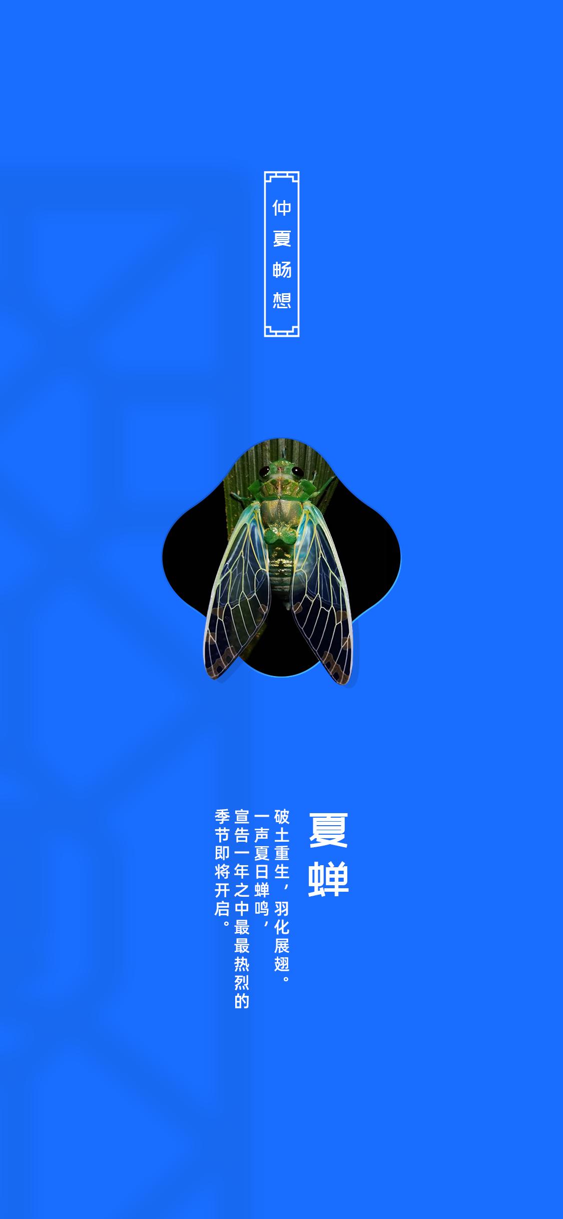 medal，marathon，Cultural creation，Sports，badge，Medal，Medal，Metal badge，