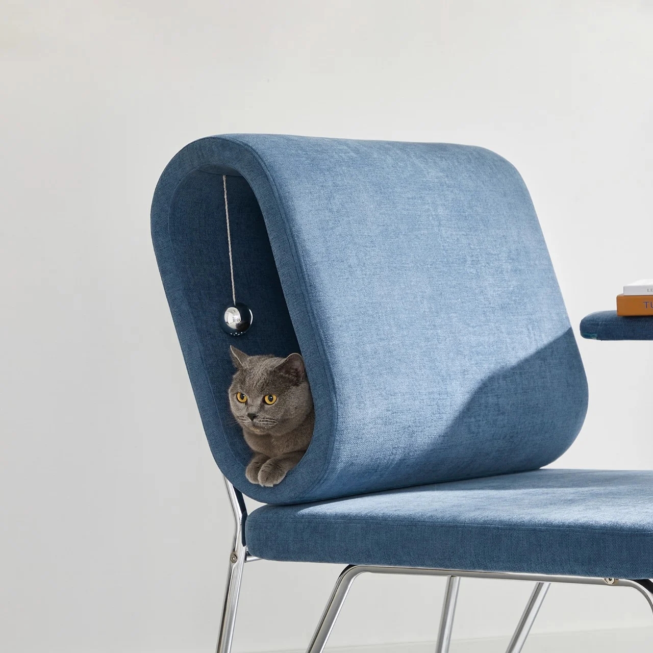 chair，product design，Pets，Handrail，