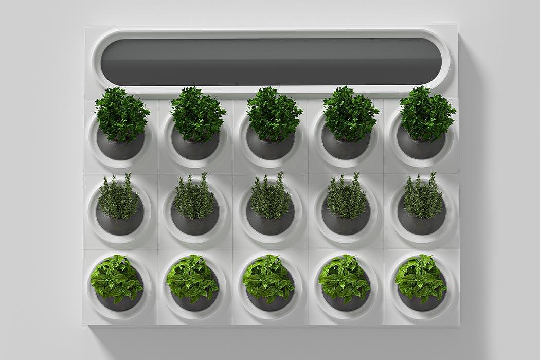 Moltke，product design，Appearance design，Green plant，Air purification，