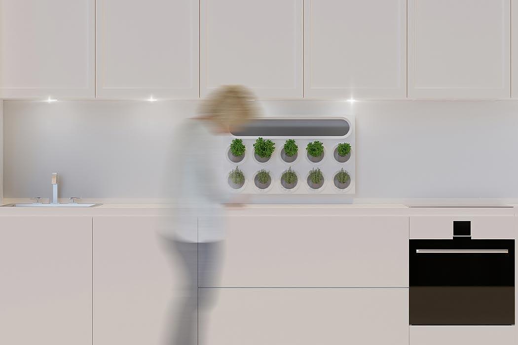 Moltke，product design，Appearance design，Green plant，Air purification，