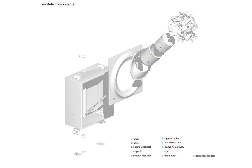 Moltke，product design，Appearance design，Green plant，Air purification，
