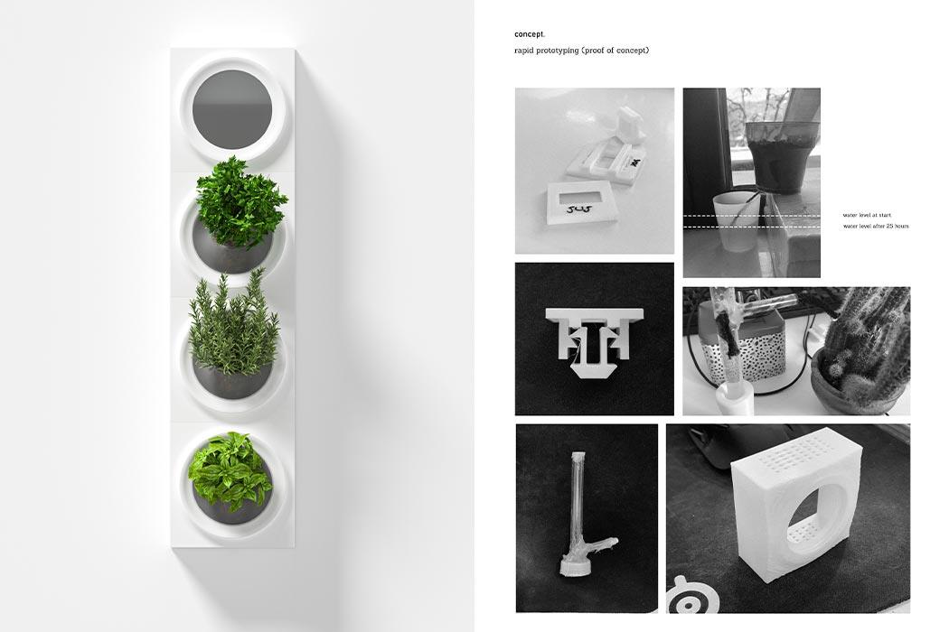 Moltke，product design，Appearance design，Green plant，Air purification，