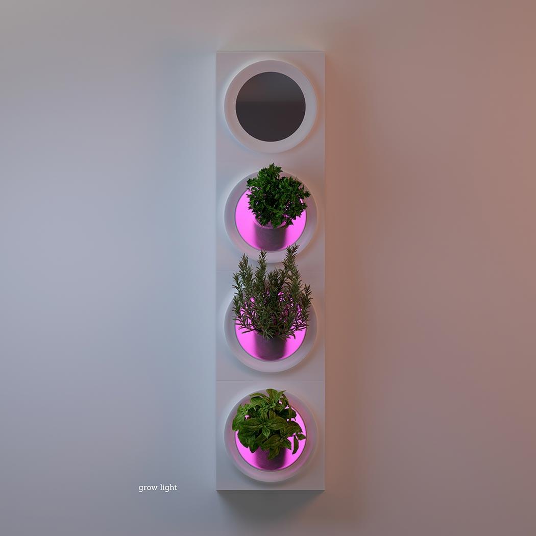 Moltke，product design，Appearance design，Green plant，Air purification，