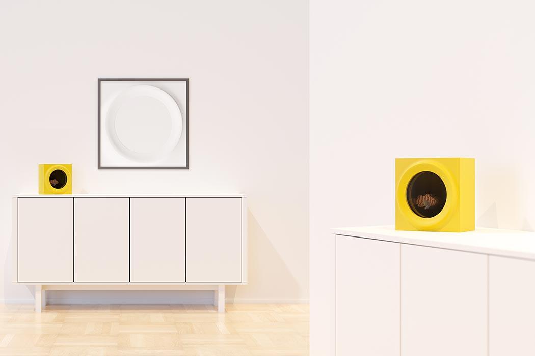 Moltke，product design，Appearance design，Green plant，Air purification，