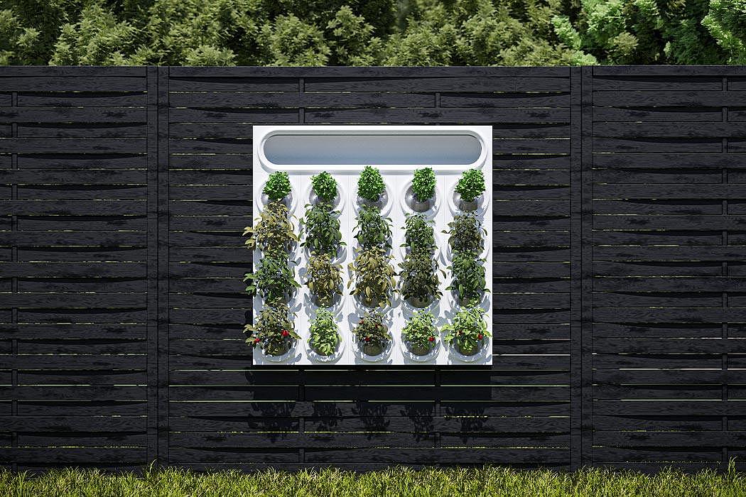 Moltke，product design，Appearance design，Green plant，Air purification，