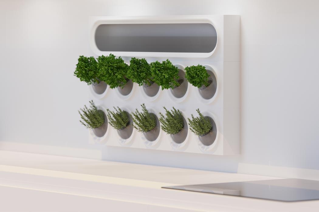 Moltke，product design，Appearance design，Green plant，Air purification，