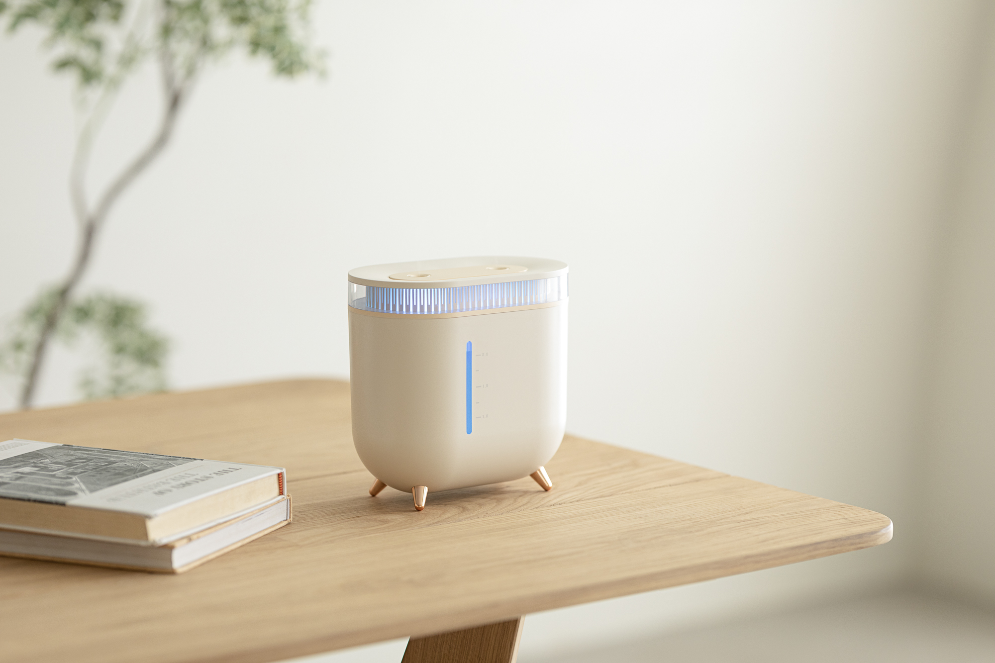 Humidifier，Vitte Sega，