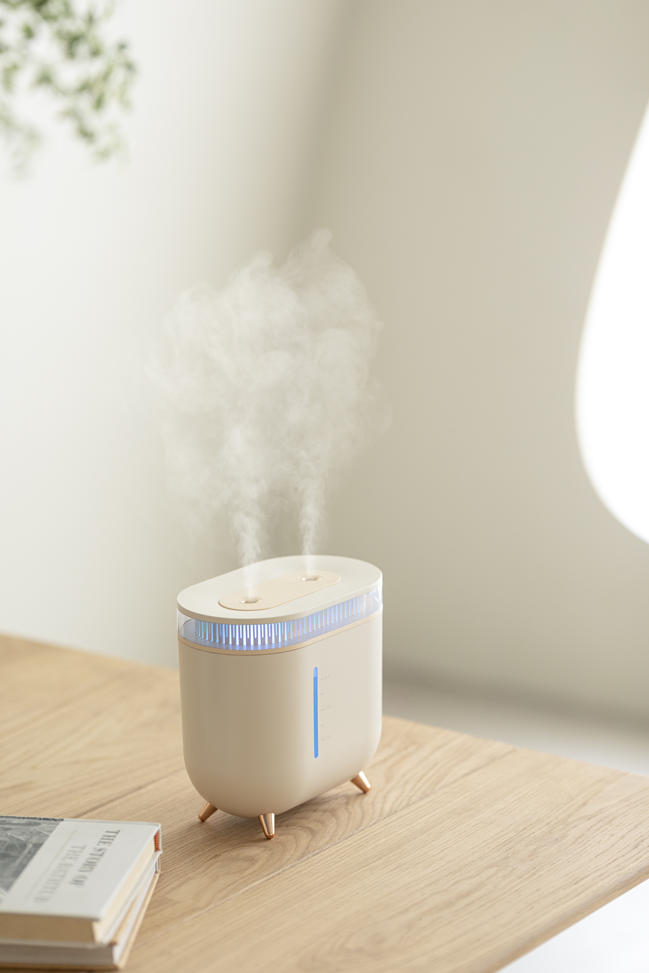 Humidifier，Vitte Sega，