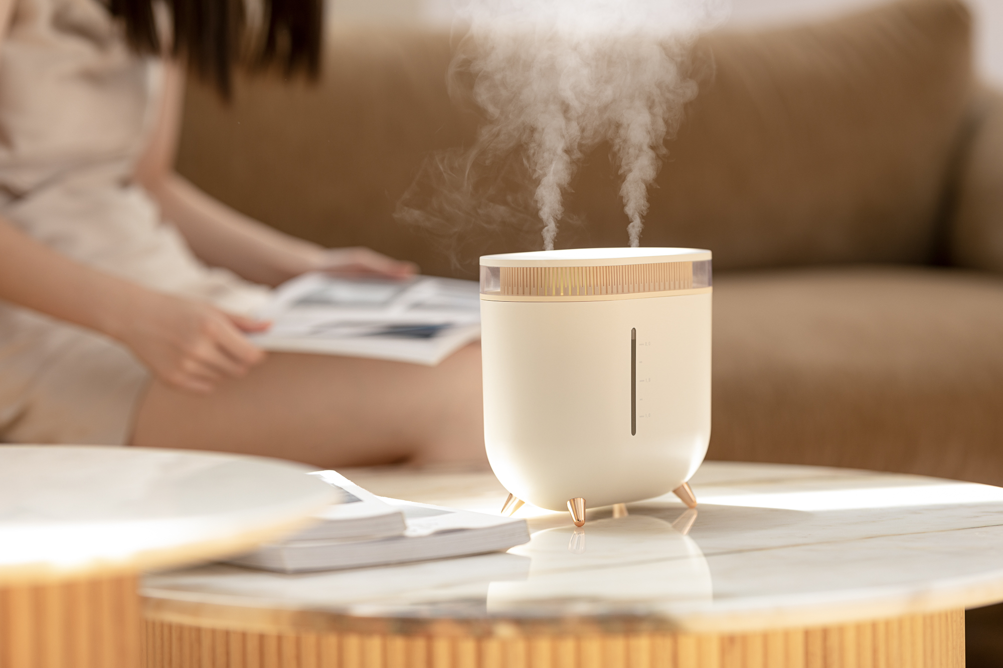 Humidifier，Vitte Sega，