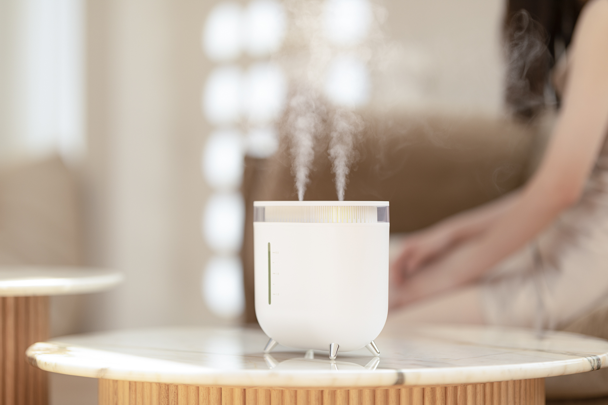 Humidifier，Vitte Sega，