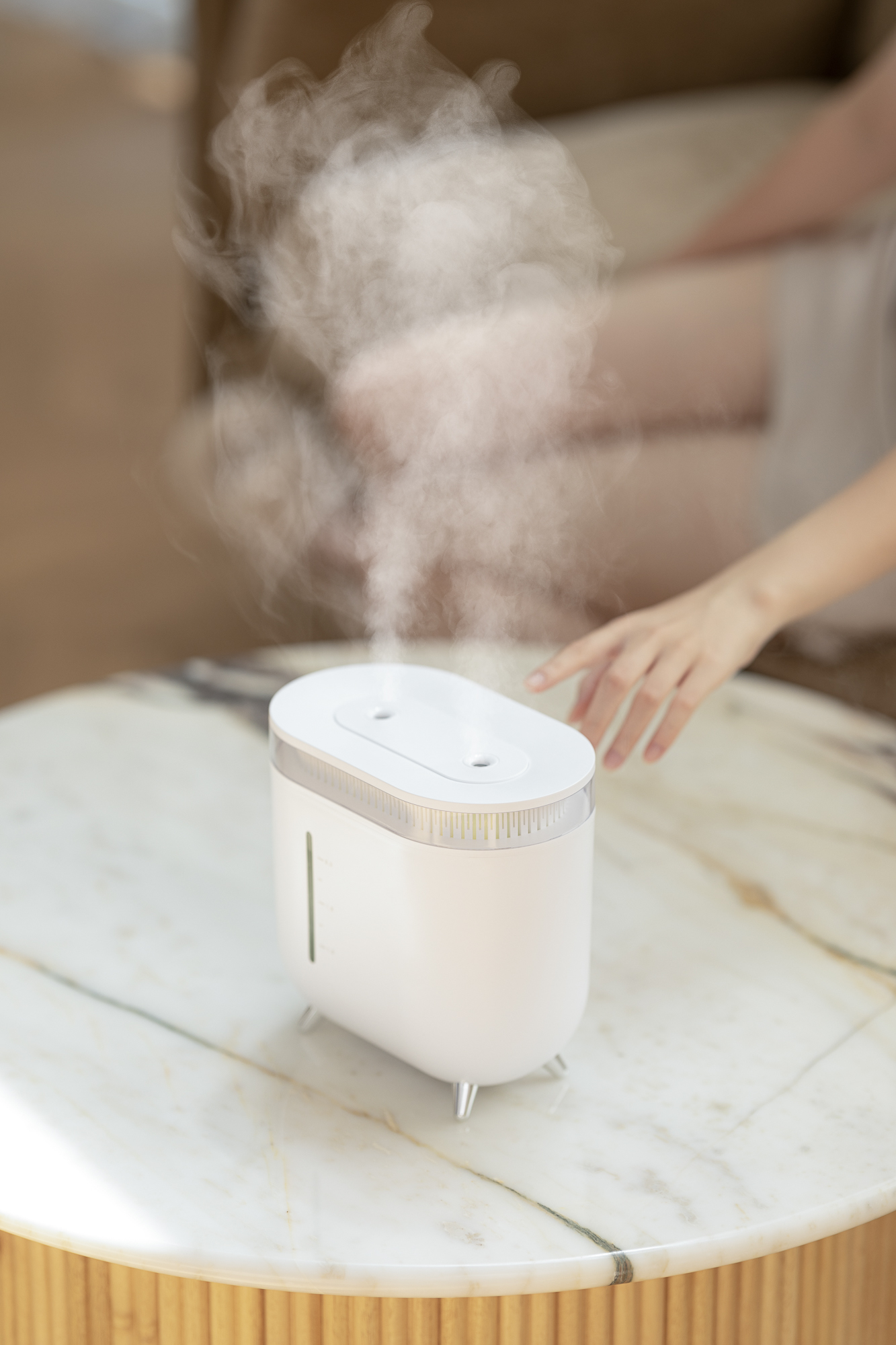 Humidifier，Vitte Sega，