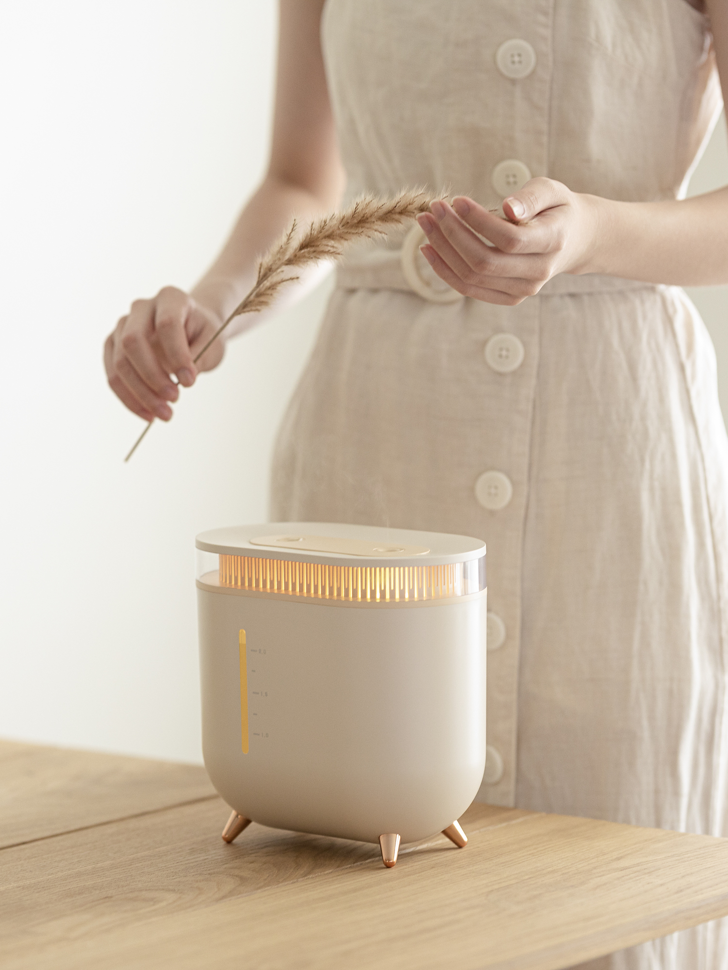 Humidifier，Vitte Sega，