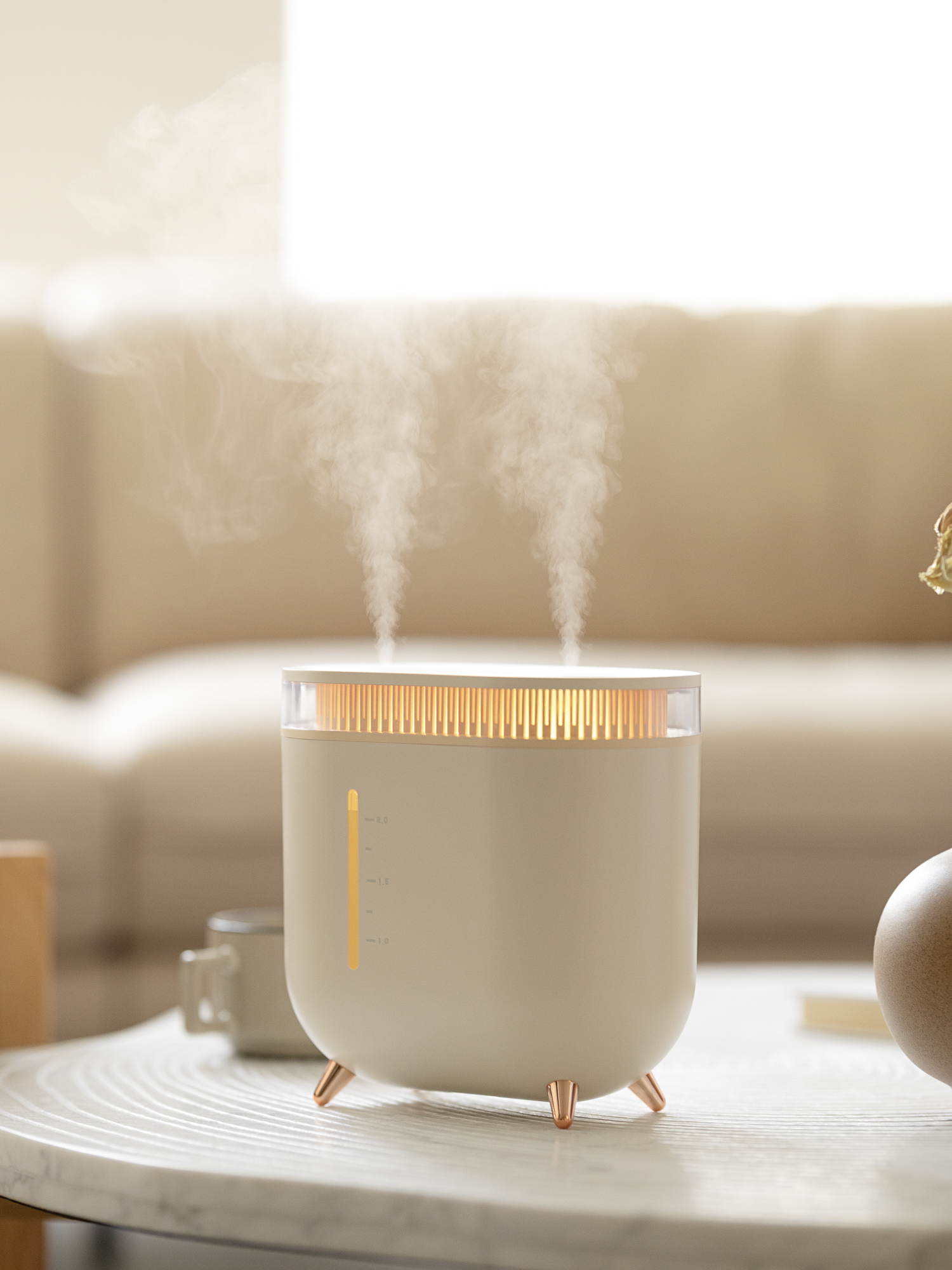 Humidifier，Vitte Sega，