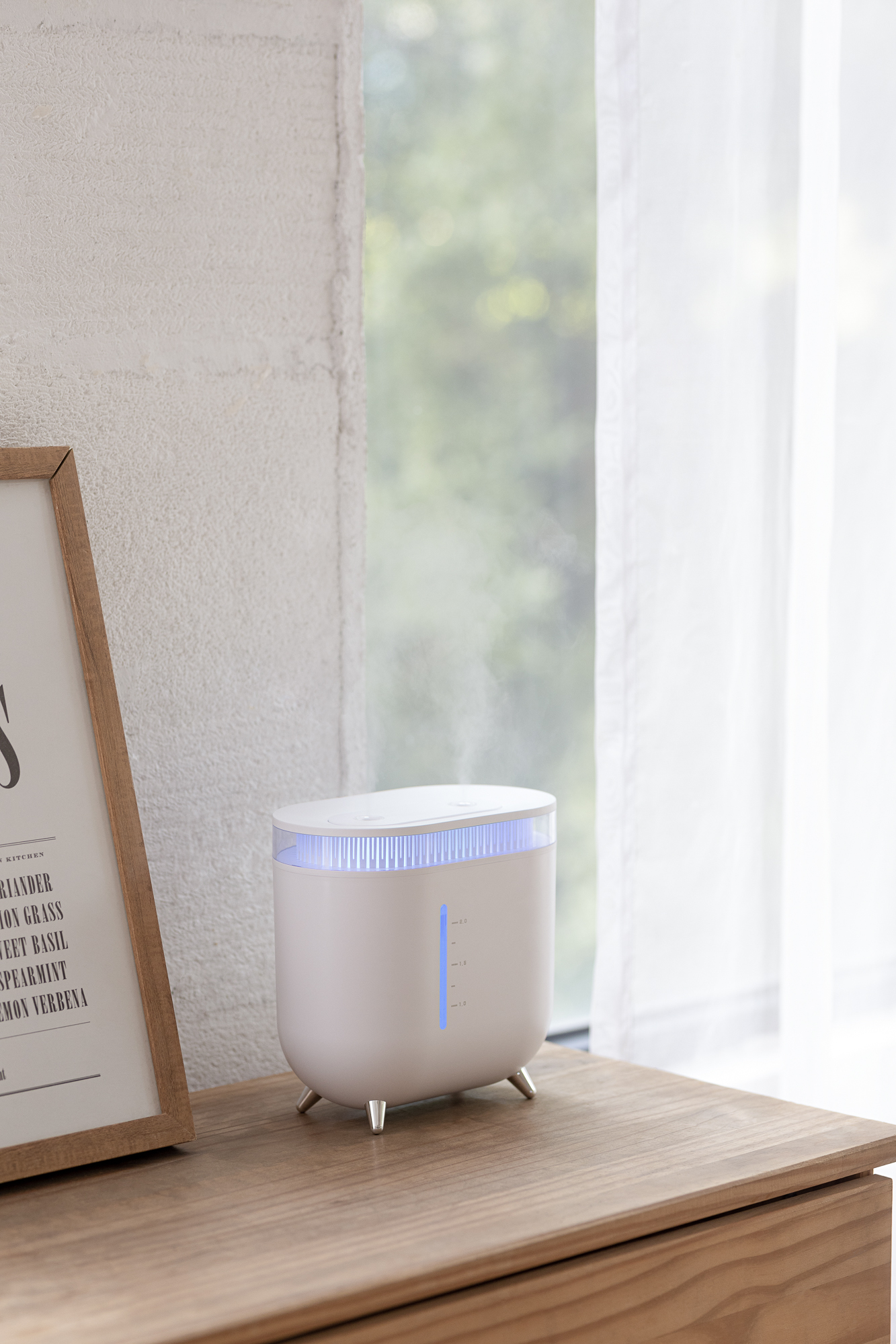 Humidifier，Vitte Sega，