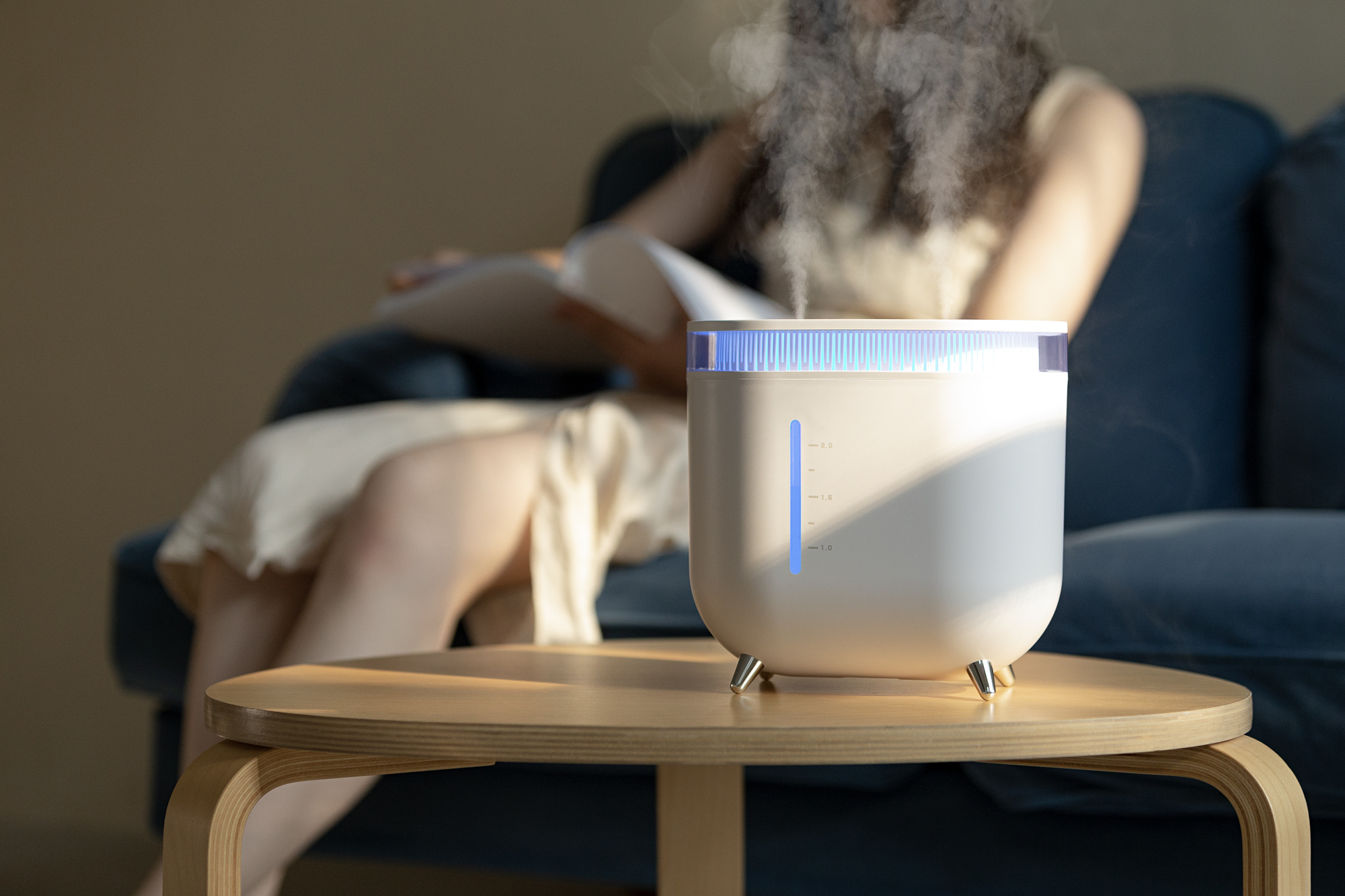 Humidifier，Vitte Sega，