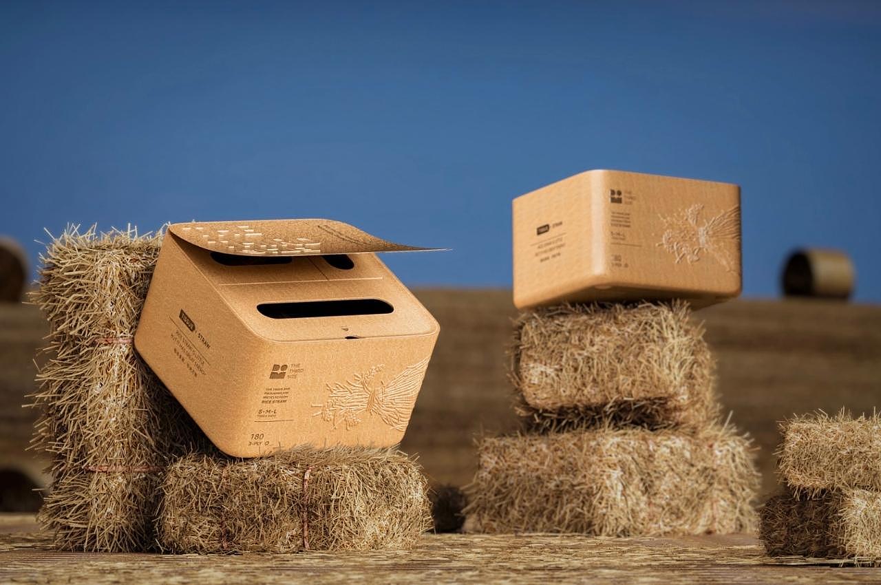 sustainable，straw，Box，packing design，