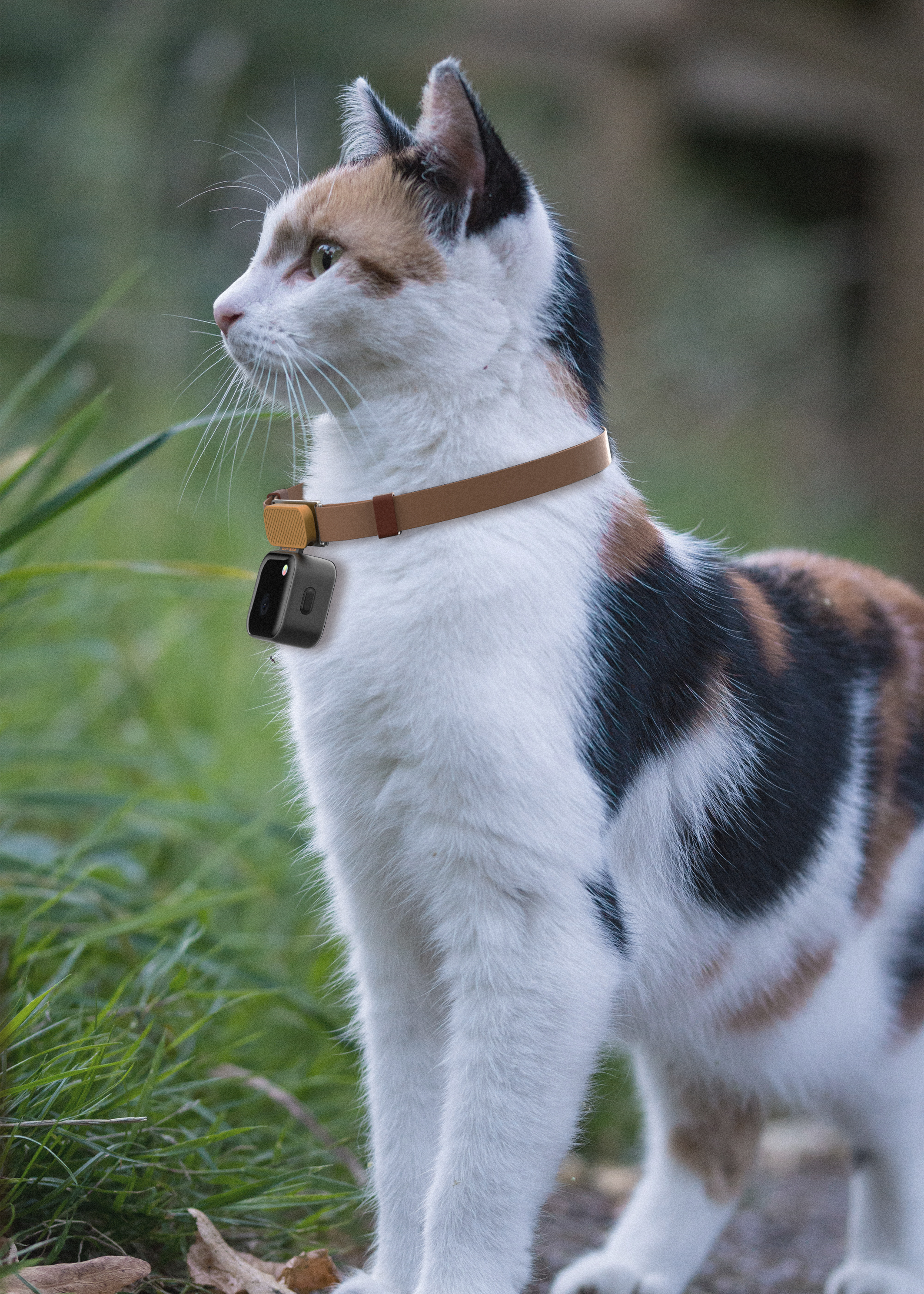 Product service，Pet Supplies & Pet，Consumer electronics，industrial design，Pet technology，gps，3C products，