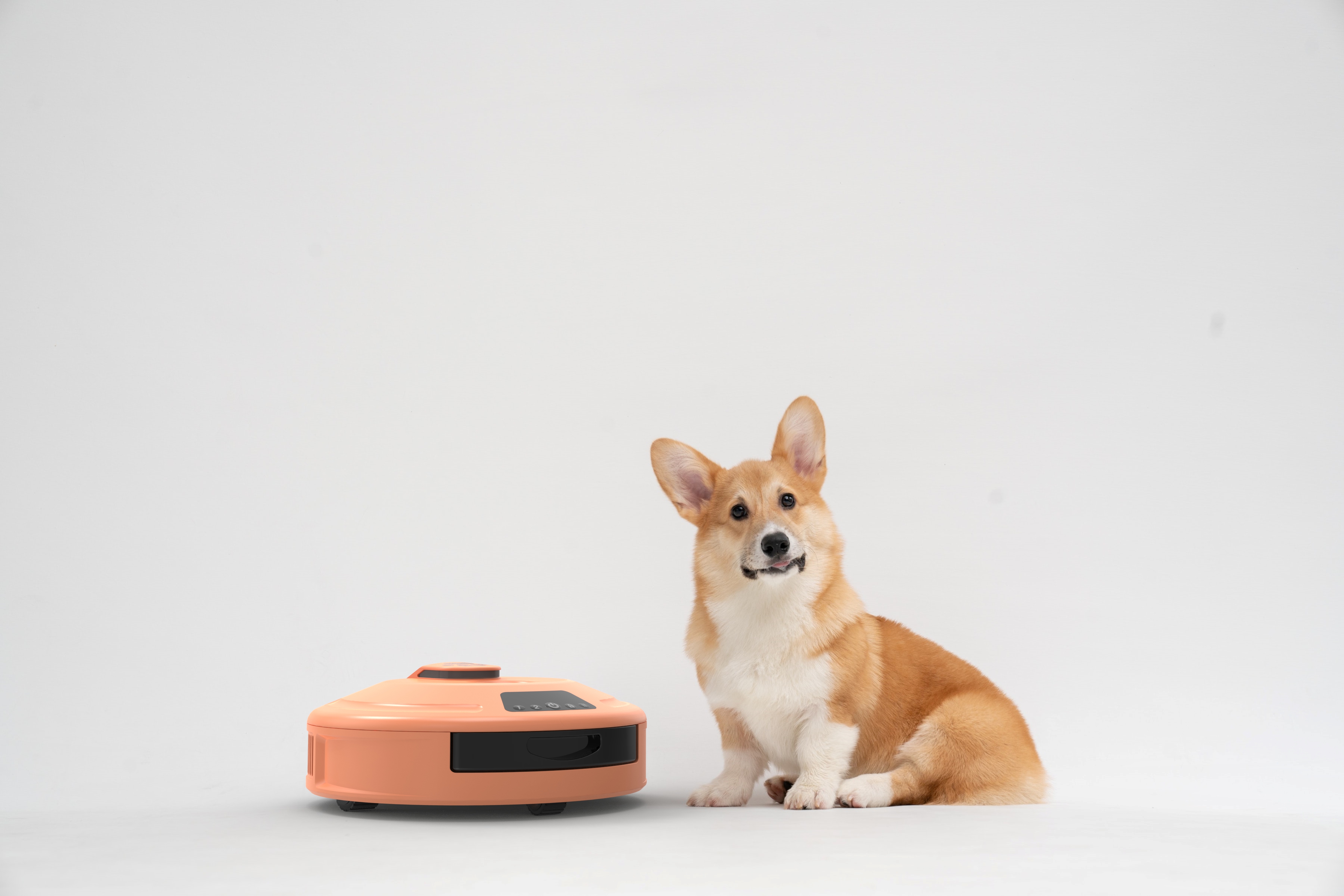 Design，Pets，healthy，Smart home，