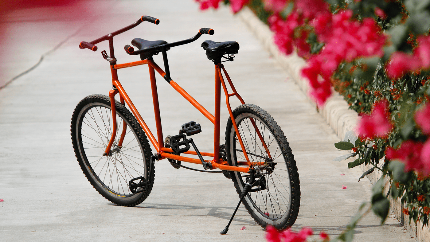 Hada，Double bicycle，Friendship，Incentives，