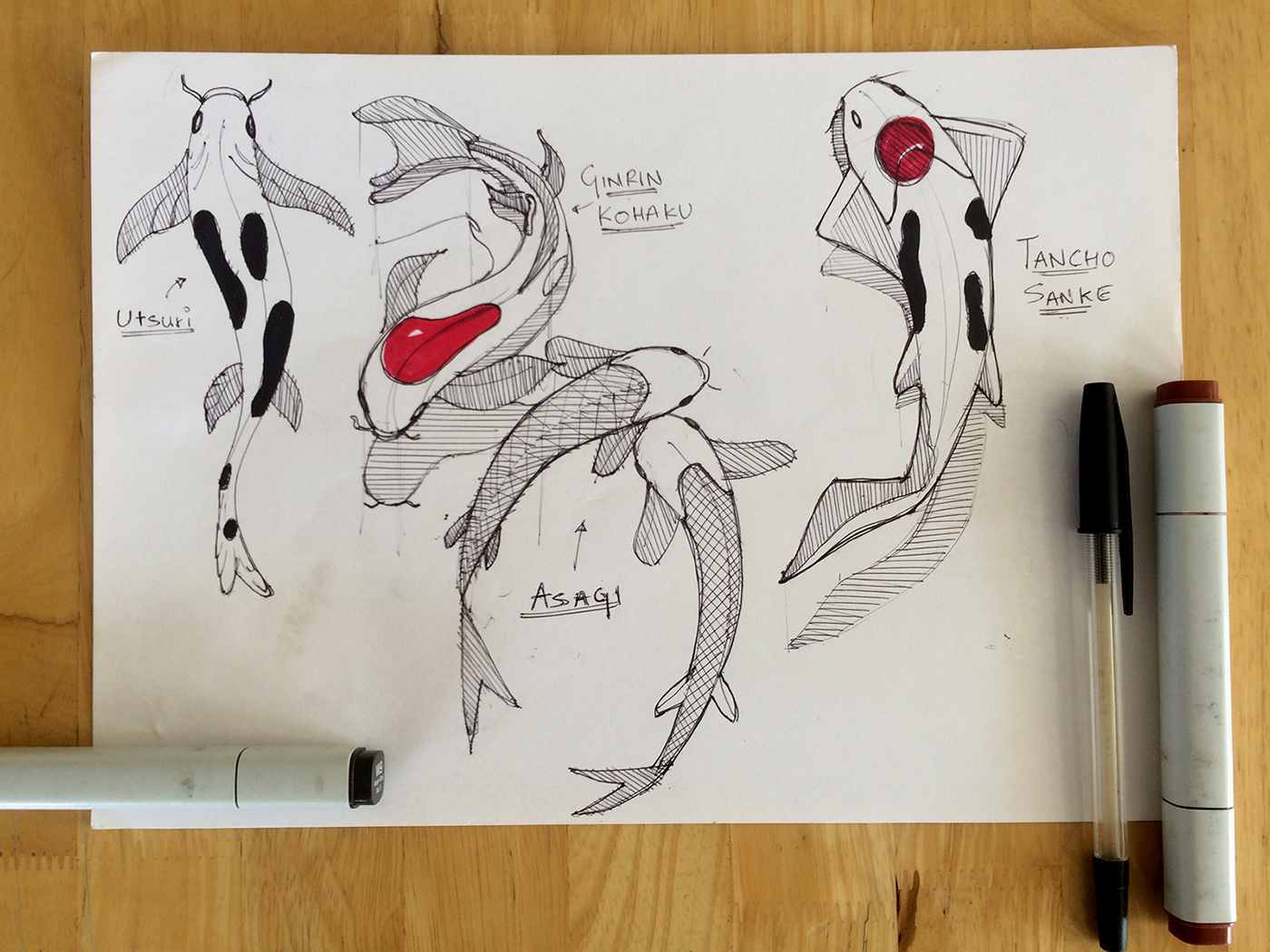 Hand drawn，marker pen，sketch，