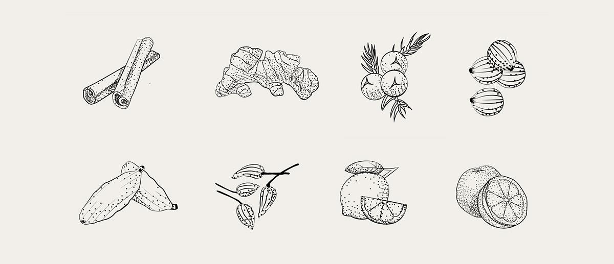 Baijiu，Appearance design，GIN LA REPÚBLICA，Wine bottle packaging，