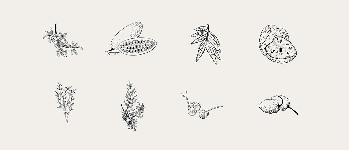 Baijiu，Appearance design，GIN LA REPÚBLICA，Wine bottle packaging，