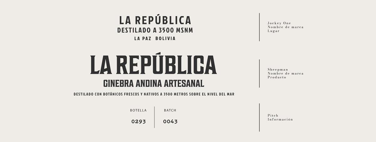 Baijiu，Appearance design，GIN LA REPÚBLICA，Wine bottle packaging，