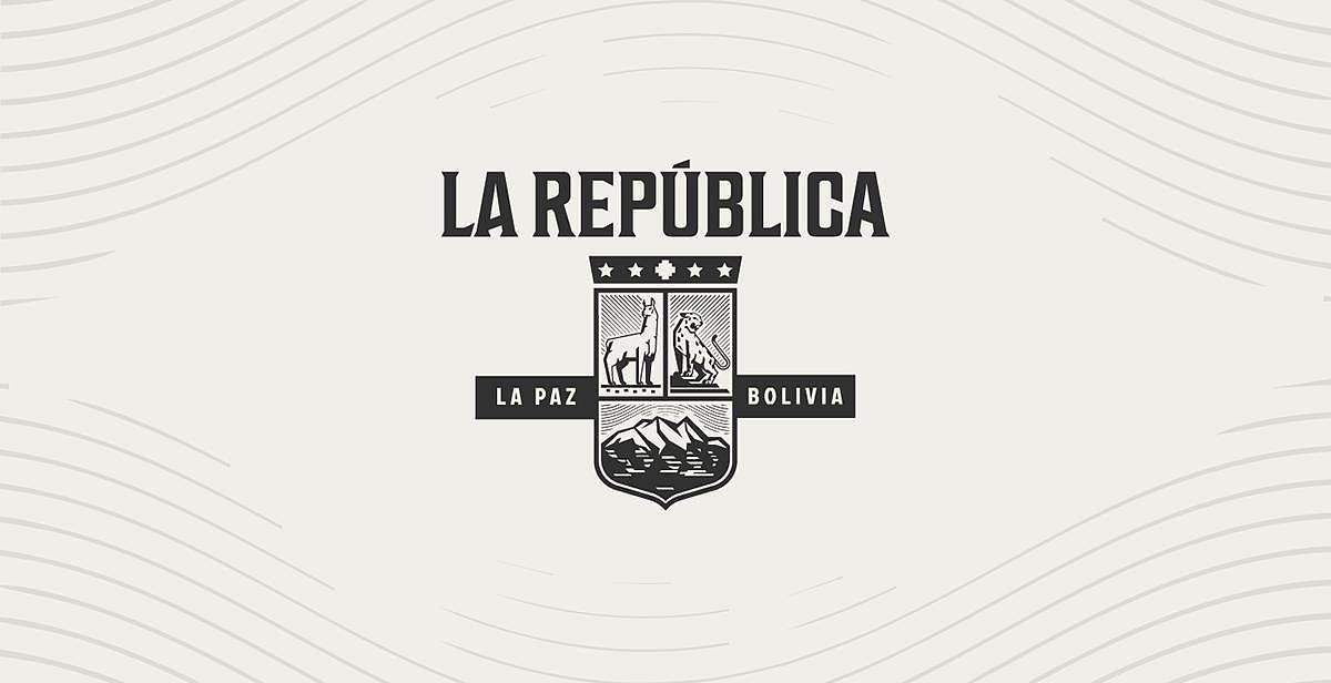 Baijiu，Appearance design，GIN LA REPÚBLICA，Wine bottle packaging，