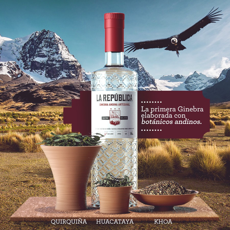 Baijiu，Appearance design，GIN LA REPÚBLICA，Wine bottle packaging，