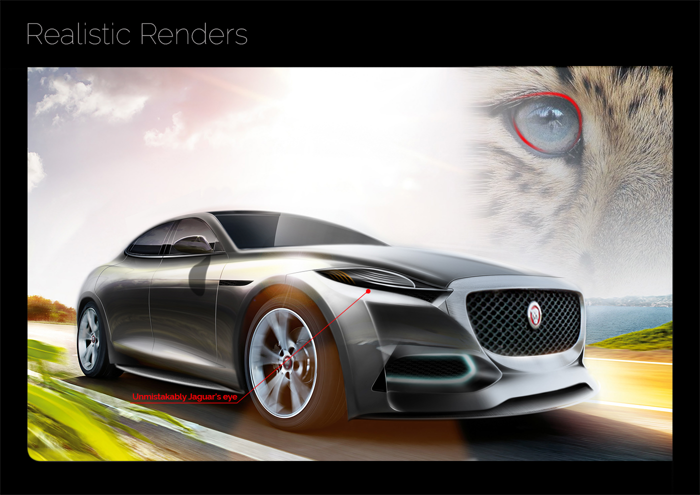 Jaguar，Automobile design，packing design，Oil sludge，