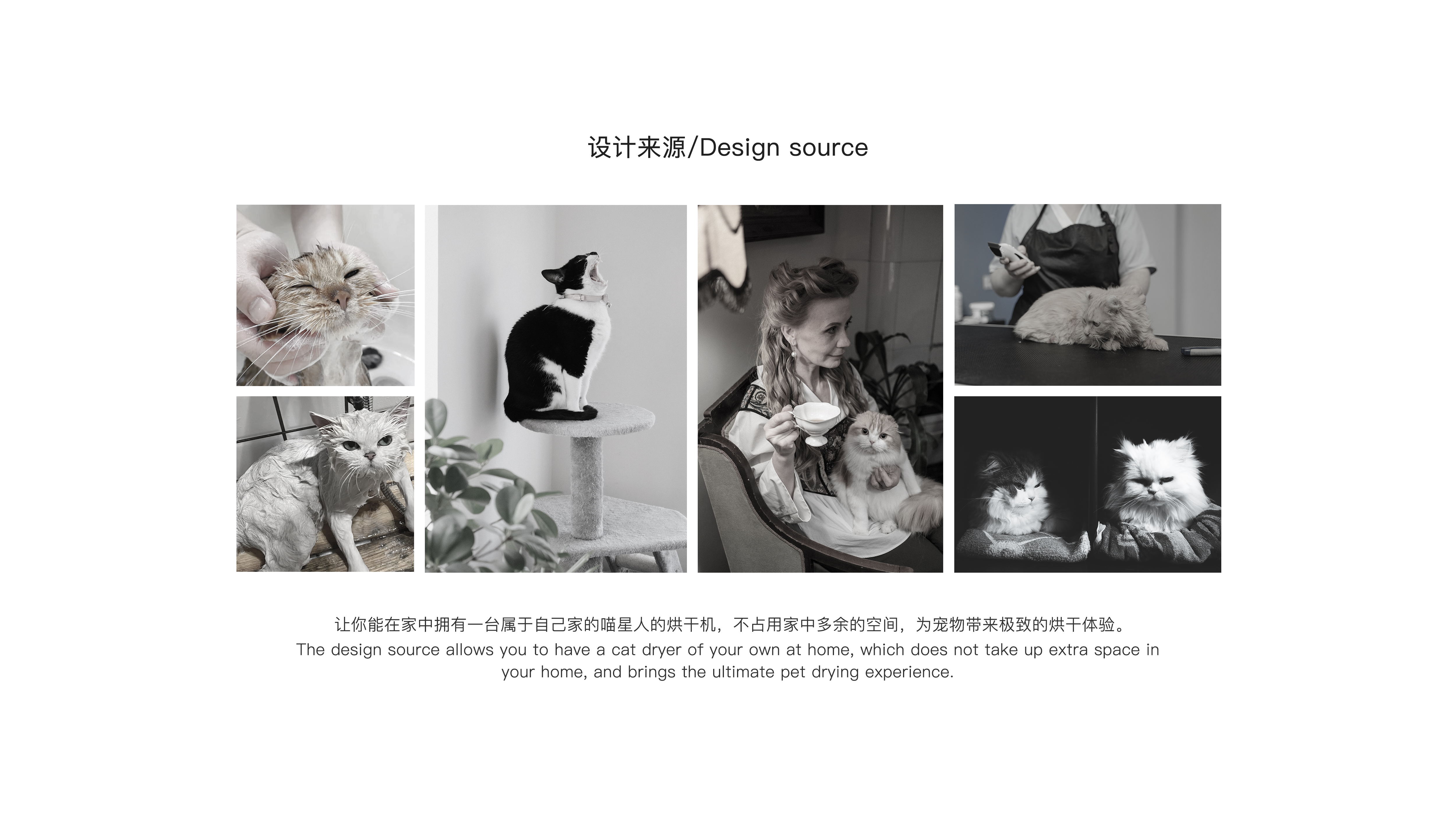 industrial design，product design，sample reels，Pet Supplies & Pet，Keyshot rendering，dryer，