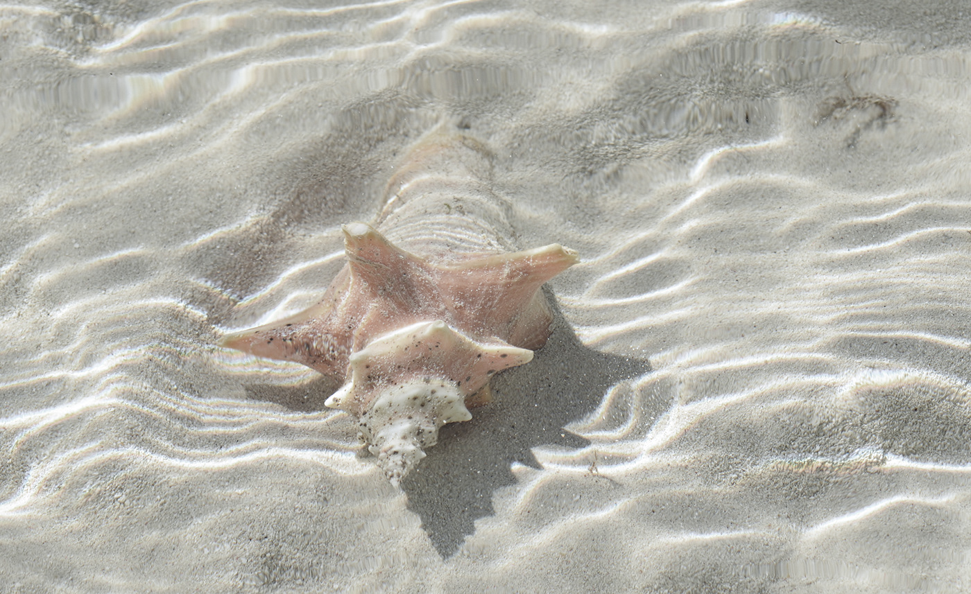 headset，Bluetooth，intelligence，