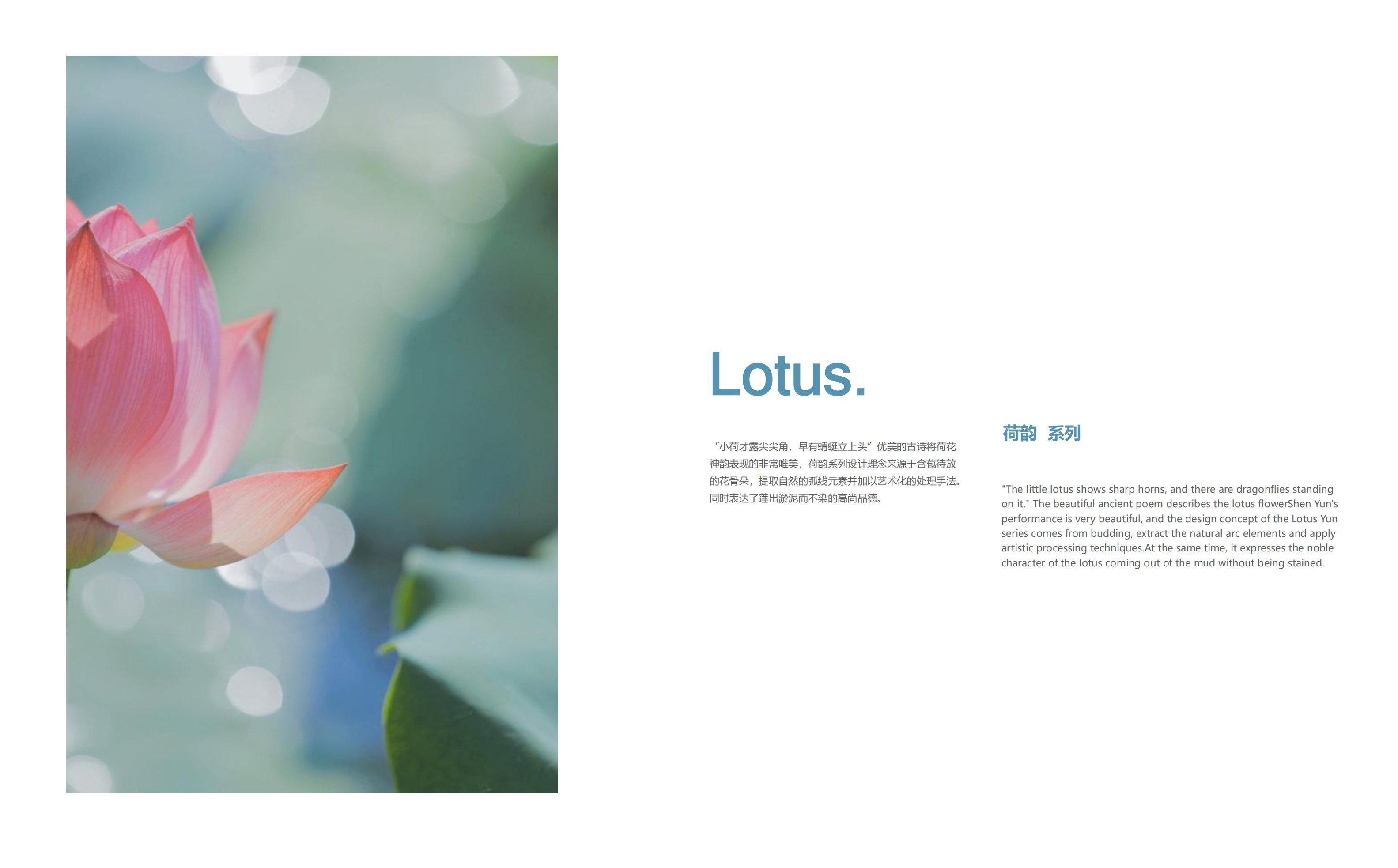 furniture design ，Chair design，Dining chair design，Leisure chair design，