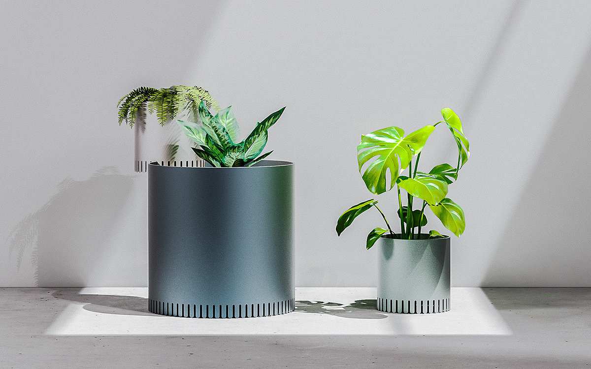 Botany，Flowerpot，ecosystem，space，Design，Home Furnishing，