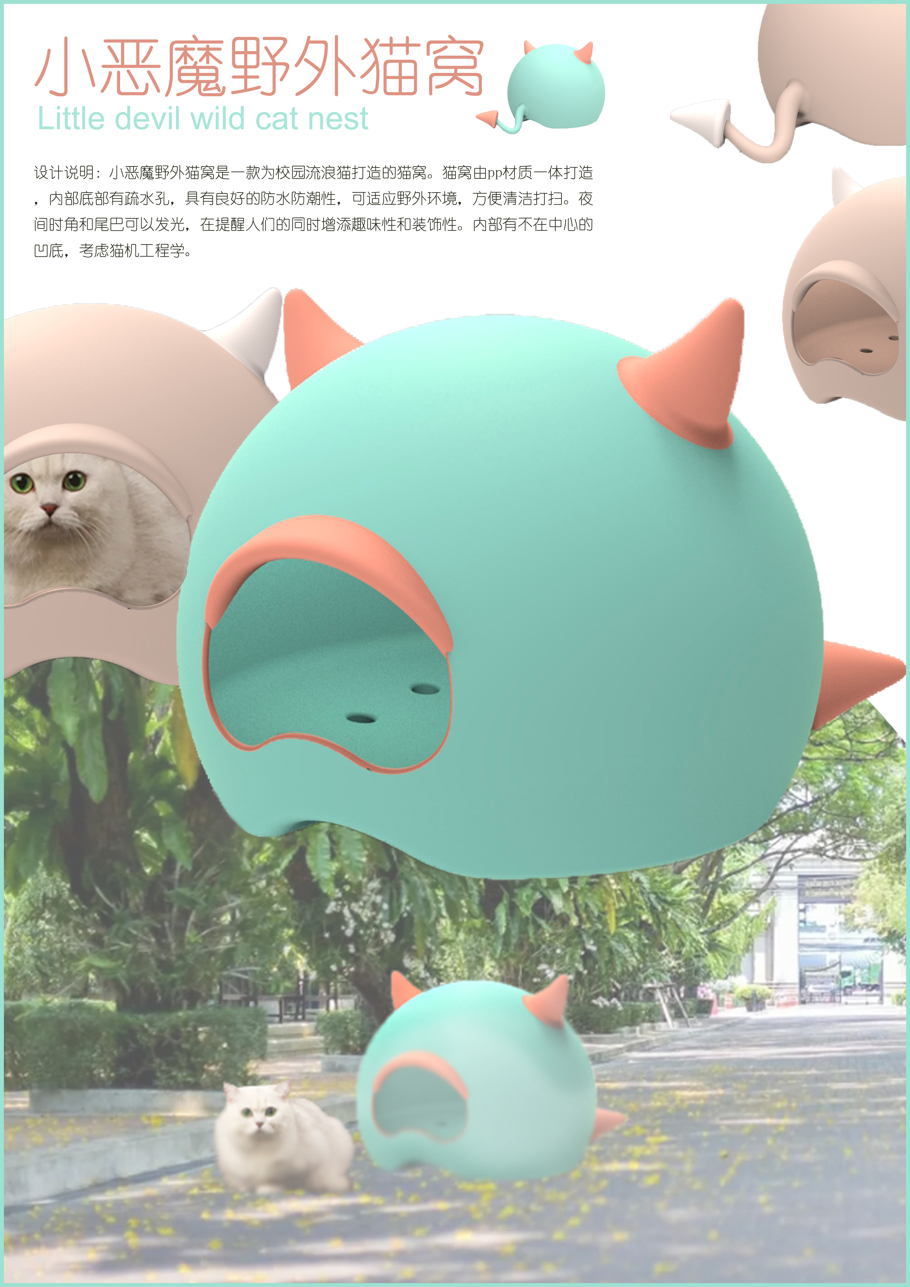 Kitty，Little devil，Cat nest，Pet nest，luminescence，campus，A stray cat，