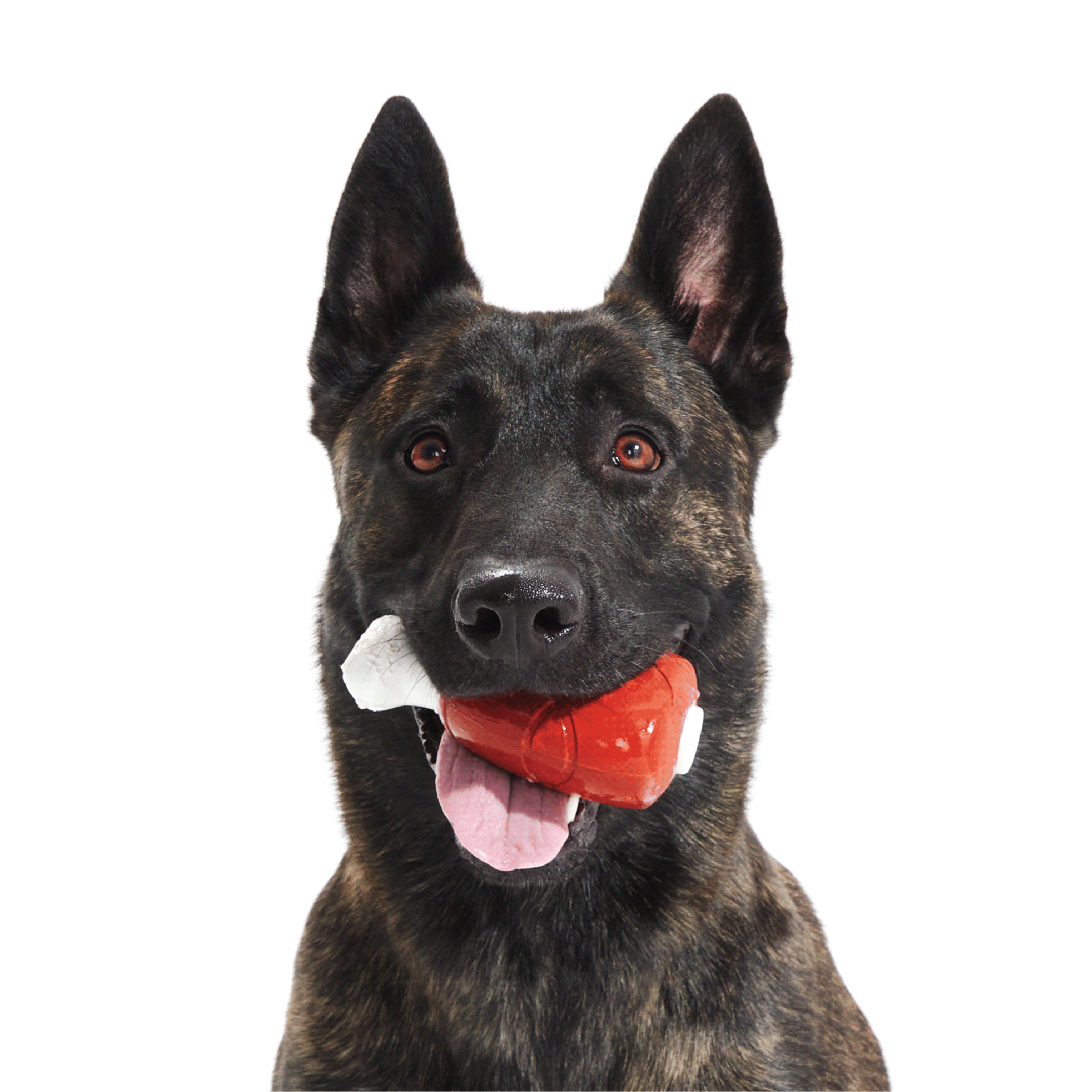 Jake Brosius，3D printing，Toys，Designed for dogs，Super chew，Super Chewer，